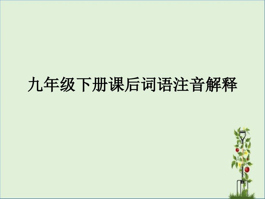 九年级下册课后词语注音解释概要_第1页