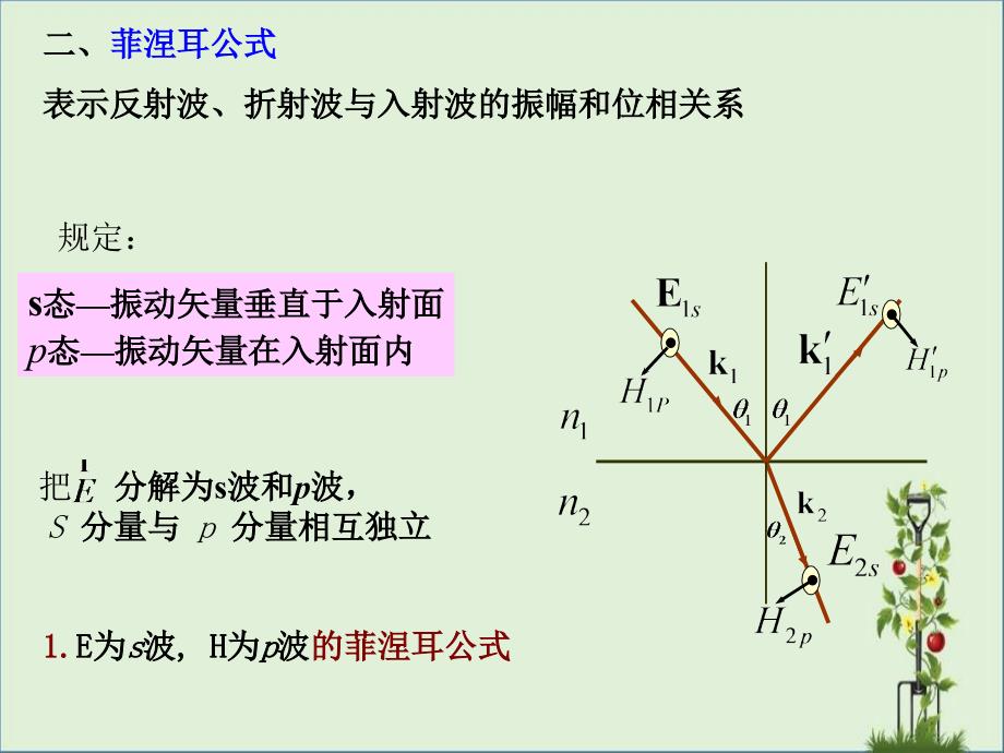 二、菲涅耳公式表示反射波、折射波与入射波的振幅和位相关_第1页