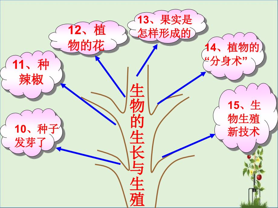 五年级科学下册三单元复习分析_第1页