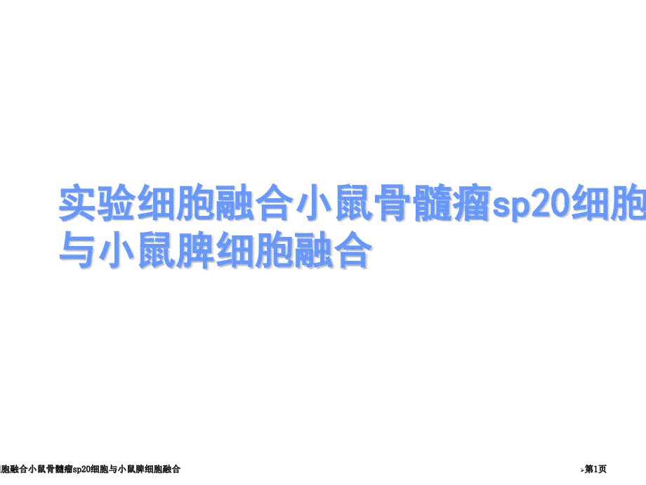 实验细胞融合小鼠骨髓瘤sp20细胞与小鼠脾细胞融合_第1页