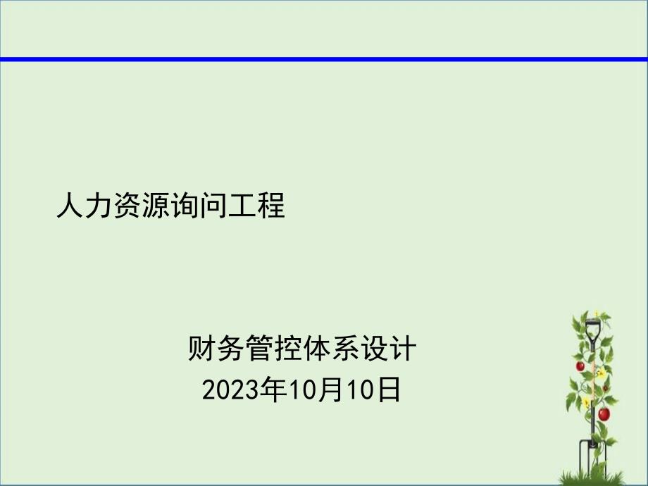 人力资源咨询项目-财务管控体系._第1页