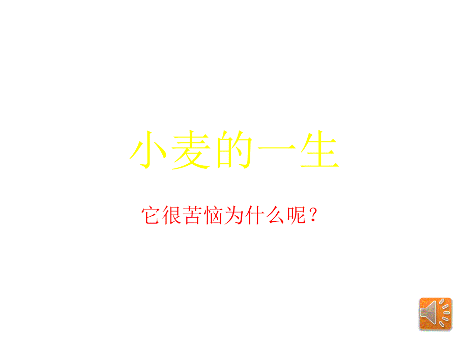 小麦的一生可爱_第1页