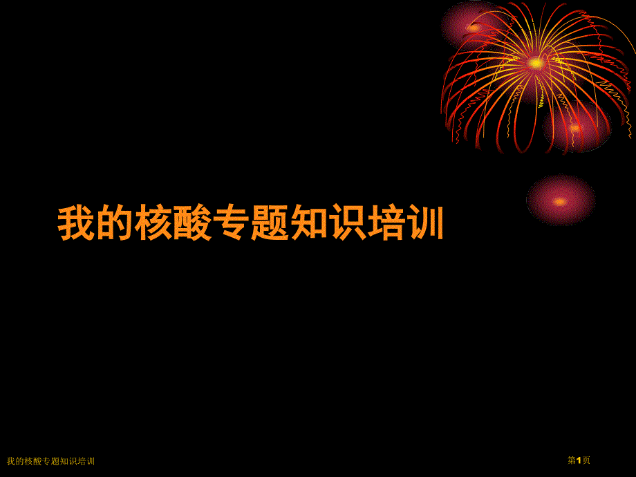 我的核酸专题知识培训_第1页