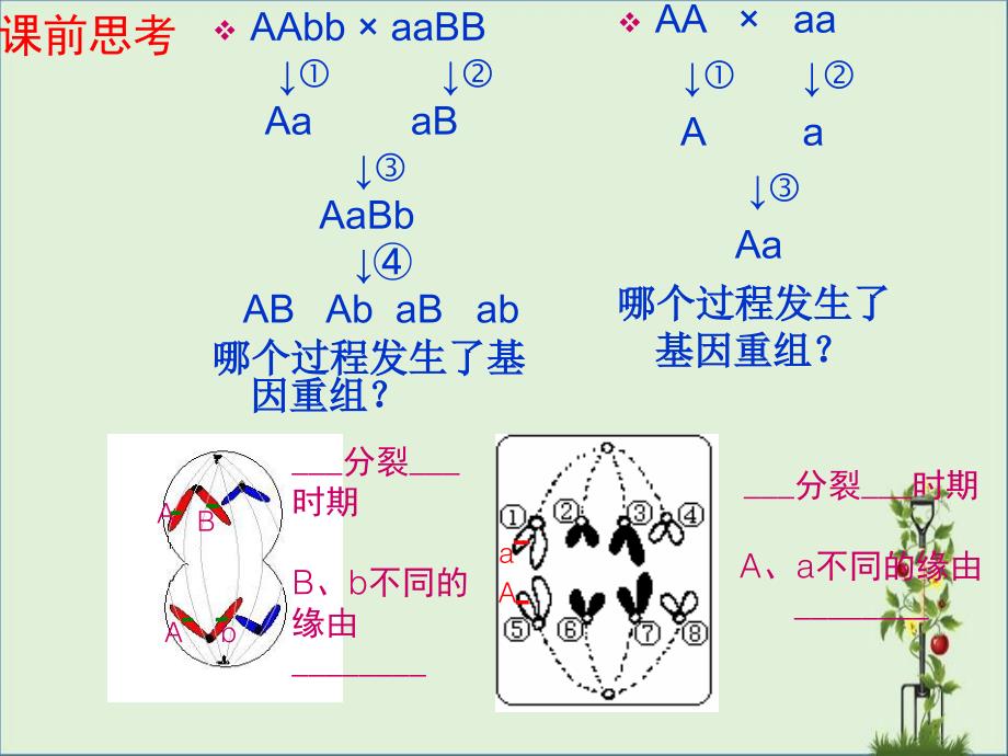 人教版教学课件染色体变异PPT_第1页