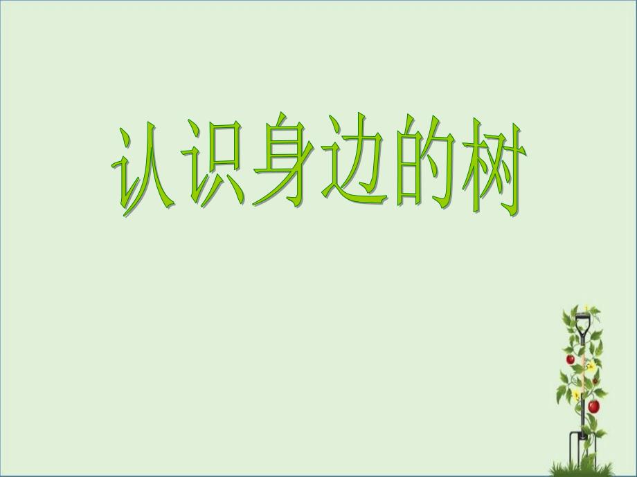 人美版小学美术二年级下册《认识身边的树》课件_第1页