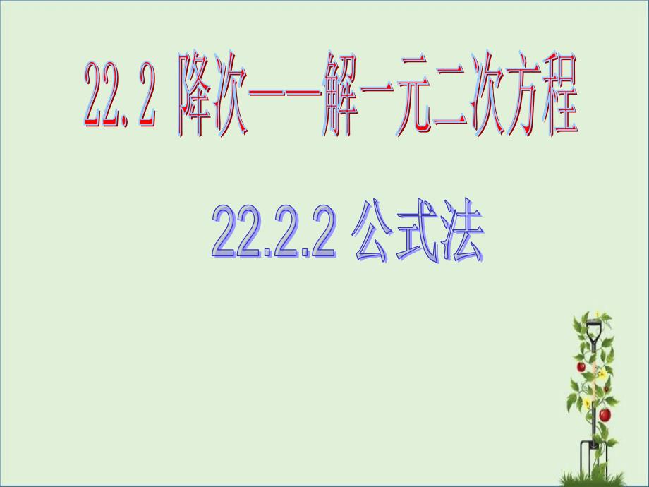 人教版九年级数学上册-22.2.2公式法_第1页