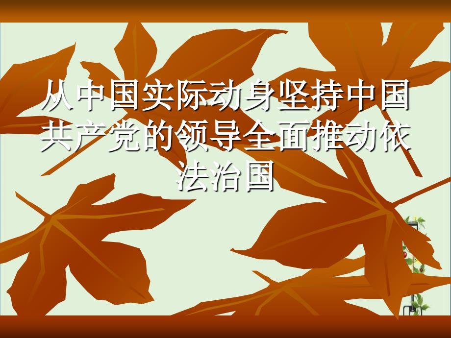 从中国实际出发坚持中国共产党的领导全面推进依法治国讲义_第1页