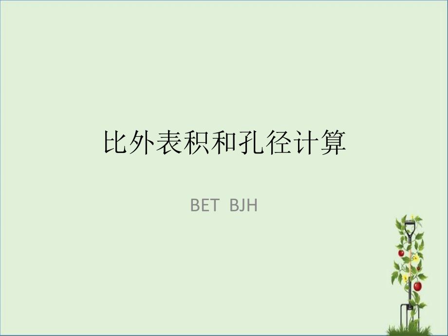 仪器分析-BET.._第1页