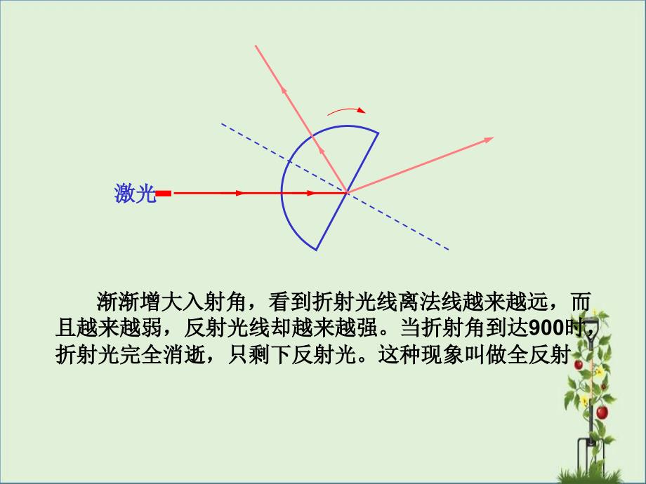 全反射复习PP_第1页