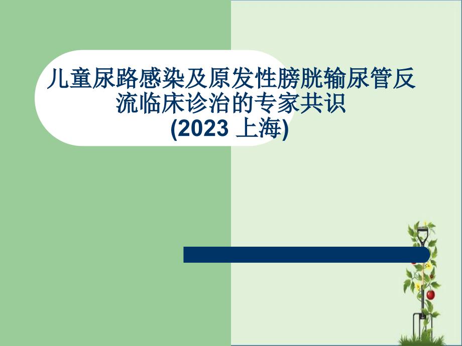 儿童尿路感染及原发性膀胱输尿管反流临床诊治的专家共识_第1页