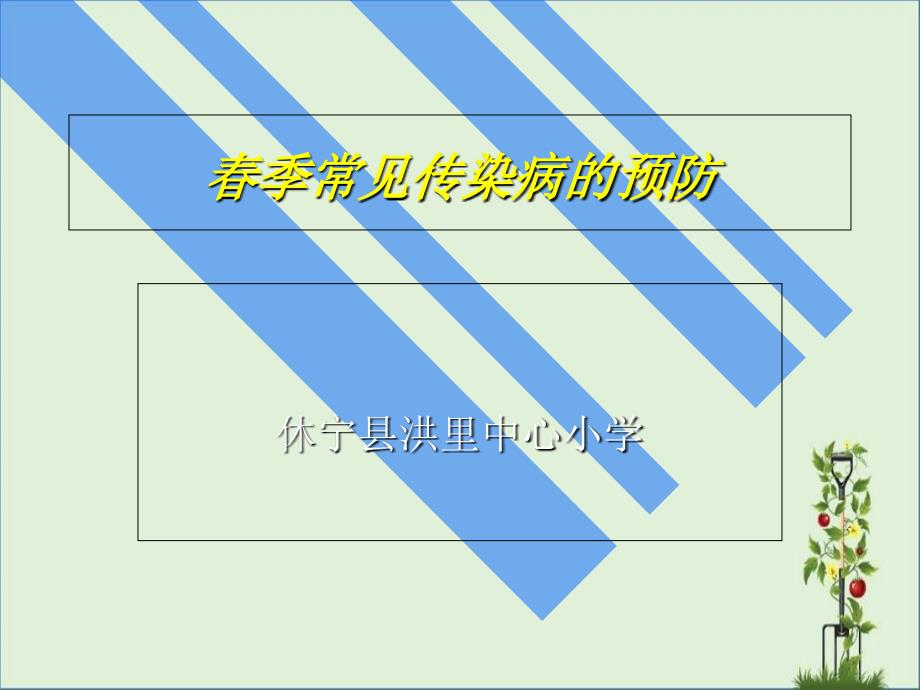 儿童保健工作的服务内容与管理-休宁洪里中心小学_第1页