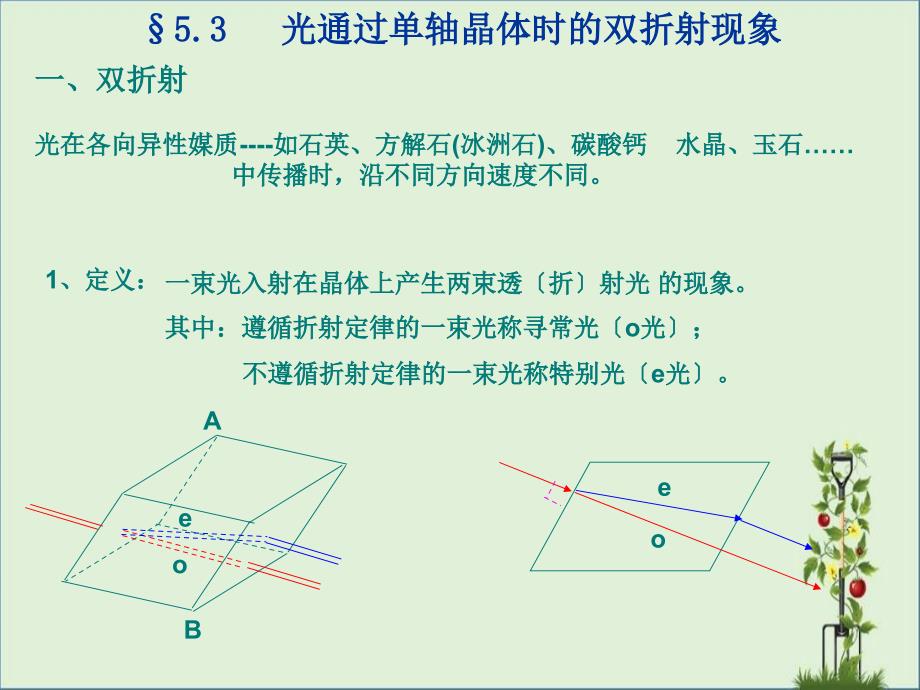 光的偏振3._第1页