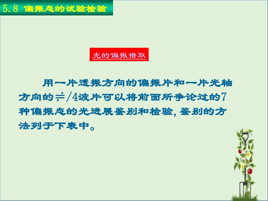 偏振态的实验检验_第1页