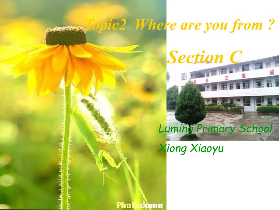 仁爱英语七上Unit 1 Getting to Know You Topic 2 Where are you from Section C课件_第1页