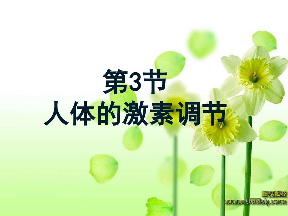 生物-北师大版-七年级下人体的激素调节_第1页