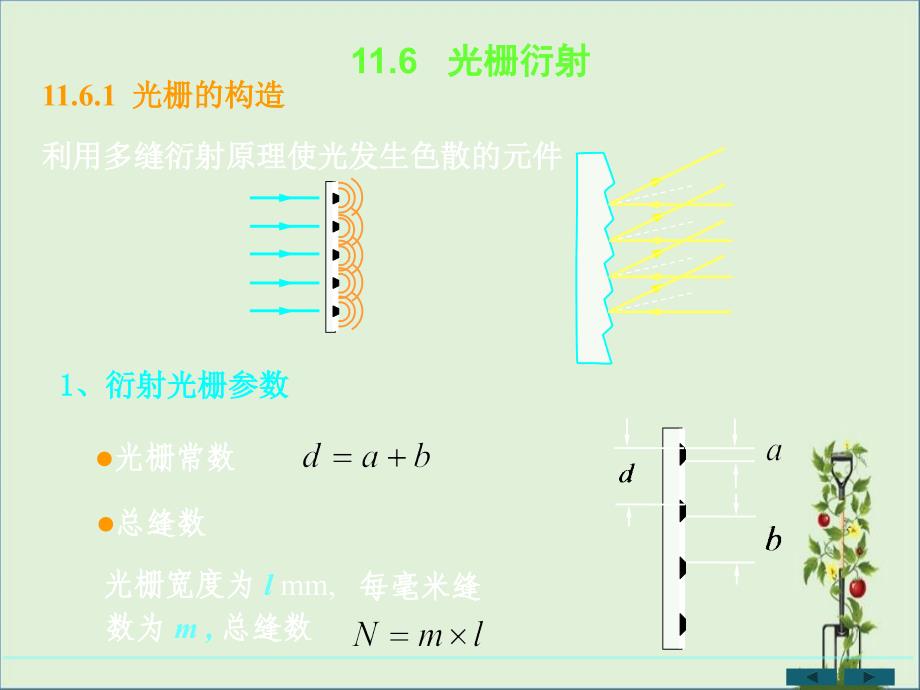 光栅衍射现象_第1页