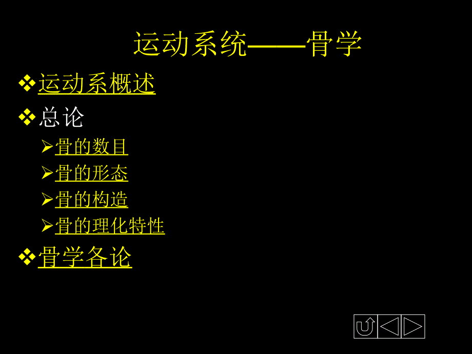 解剖学——运动系统——骨_第1页