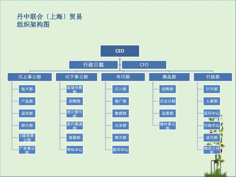 公司组织架构_第1页