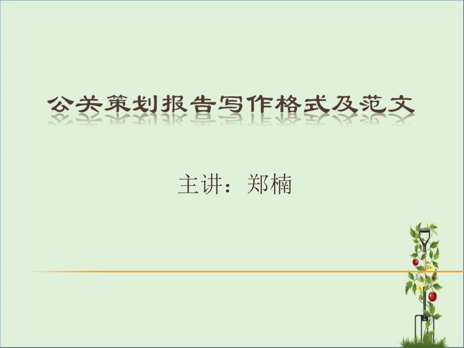 公关策划报告及范文资料_第1页