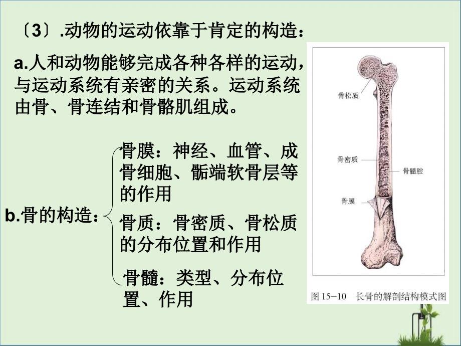 八级上册相关知识点_第1页