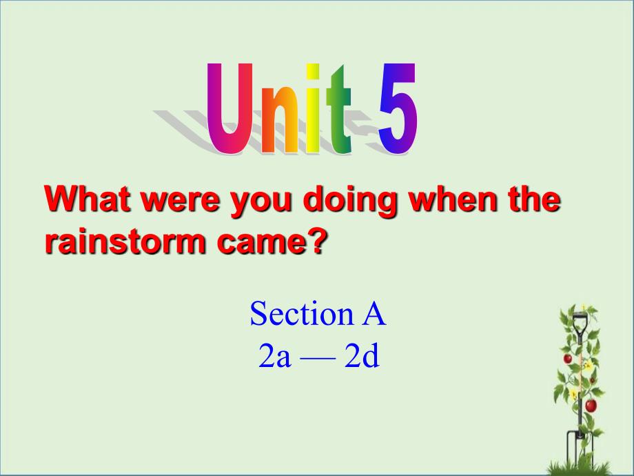 八年级下册英语unit5-section-a-2a-2d课件_第1页