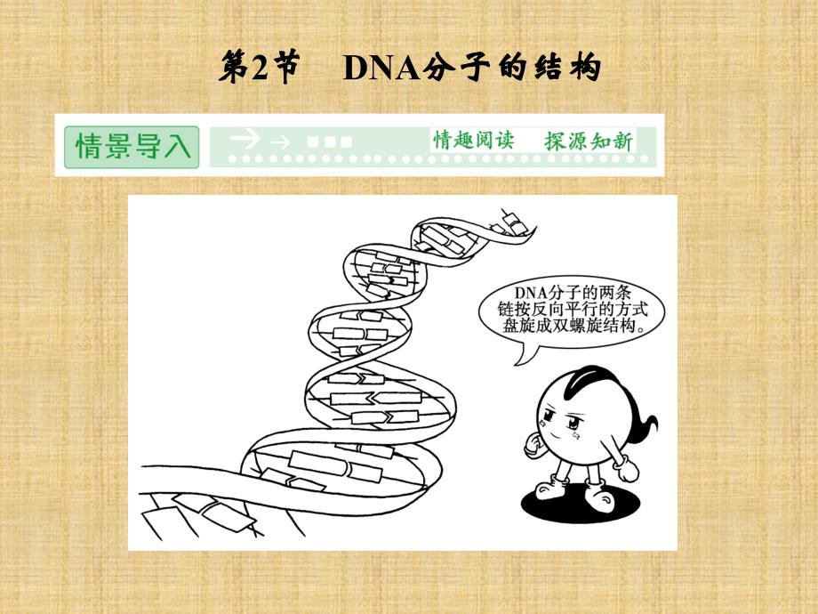 第三章《DNA分子的结构》课件人教版必修_第1页