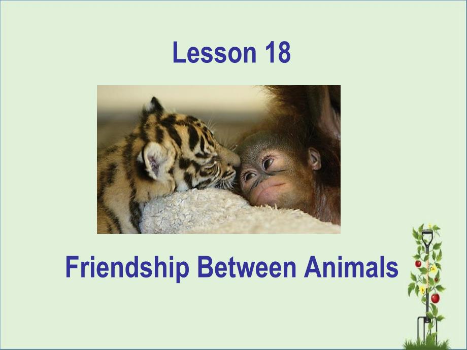 冀教英语八下Lesson18-Friendship-Between-Animals课件资料_第1页