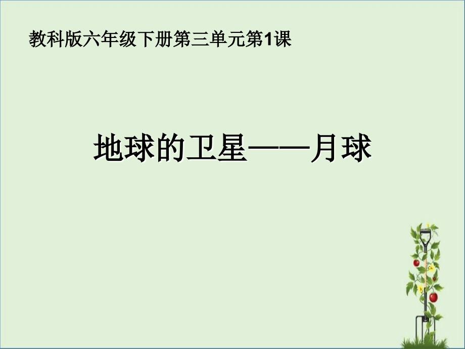 六下三1地球的卫星——月球资料_第1页