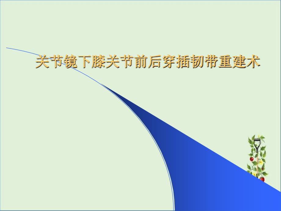 关节镜下膝前后交叉韧带重建术_第1页