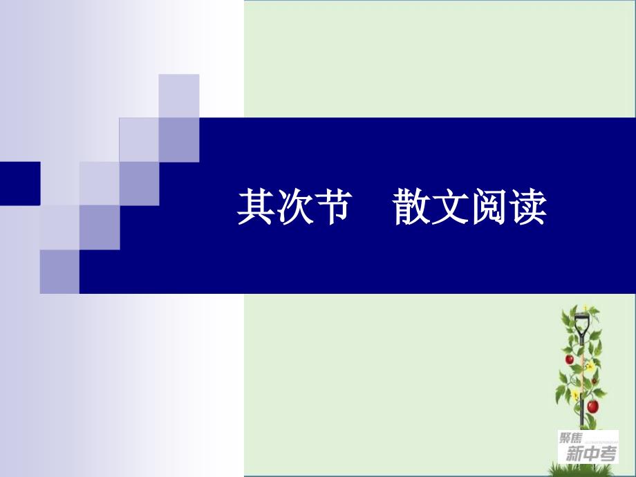 2018届九年级中考专题复习：《散文阅读》ppt课件_第1页