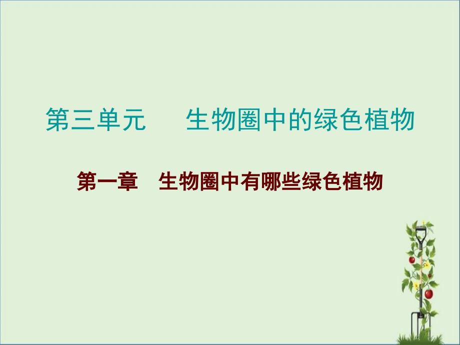 2017广东中考总复习生物第三单元生物圈中的绿色植物第一章-生物圈中有哪些绿色植物资料_第1页