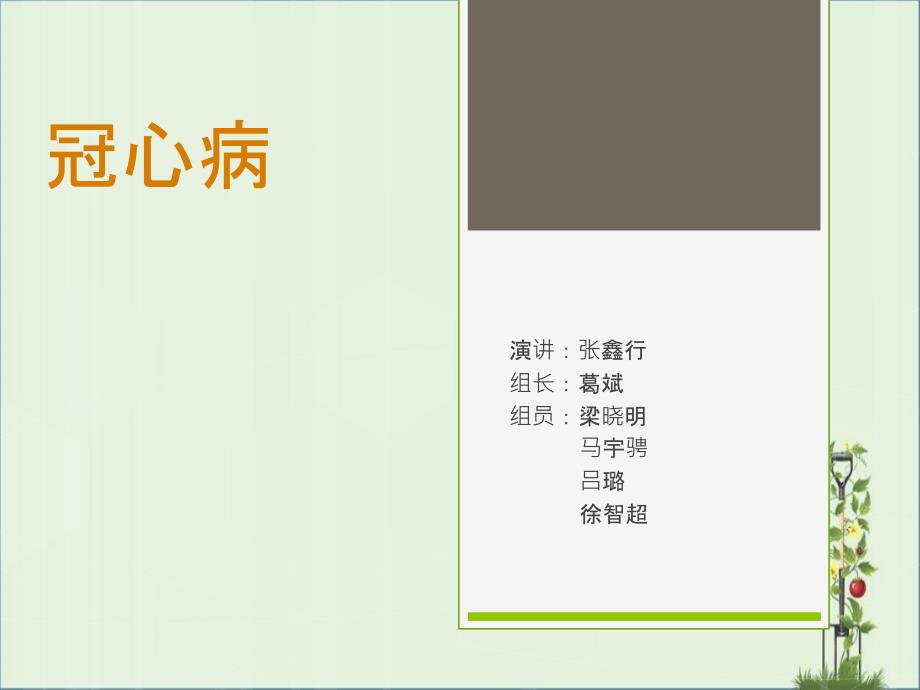 冠心病-PPT_第1页