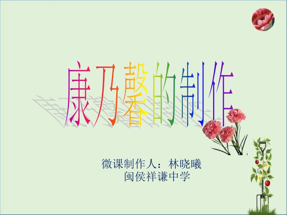 初中劳技--康乃馨的制作.(闽侯县祥谦中学林晓曦)_第1页