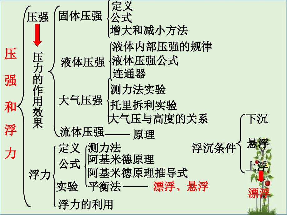 初中物理压力和压强知识点复习详解_第1页