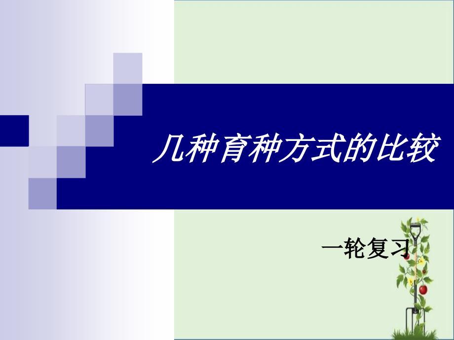 几种育种方式的比较模板_第1页