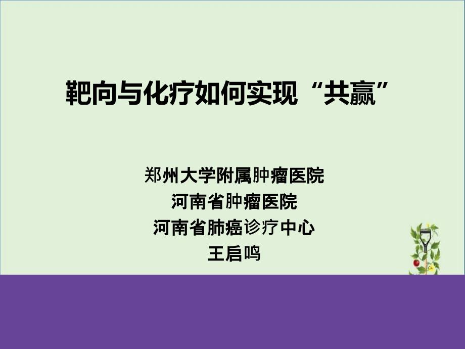 化疗与靶向如何实现共赢_第1页