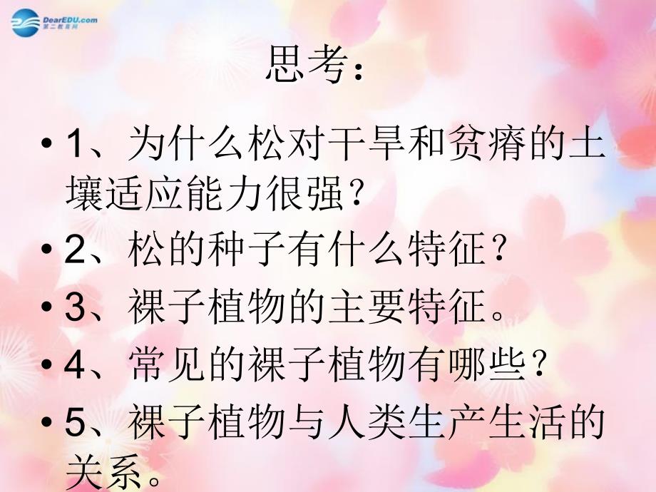 七年级生物上册 第三章 形形色色的植物裸子植物课件 （新版）冀教版_第1页