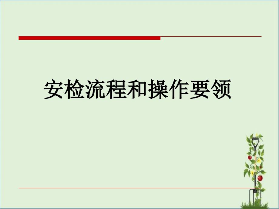 安检流程和注意事项_第1页