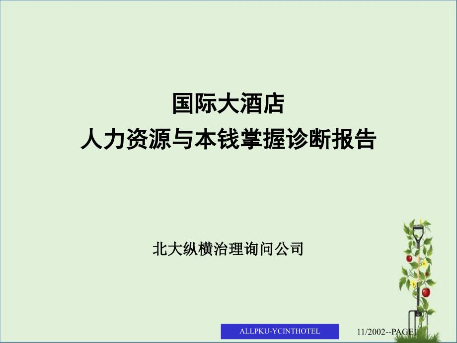 北大纵横《某国际大酒店人力资源与成本控制诊断报告》_第1页