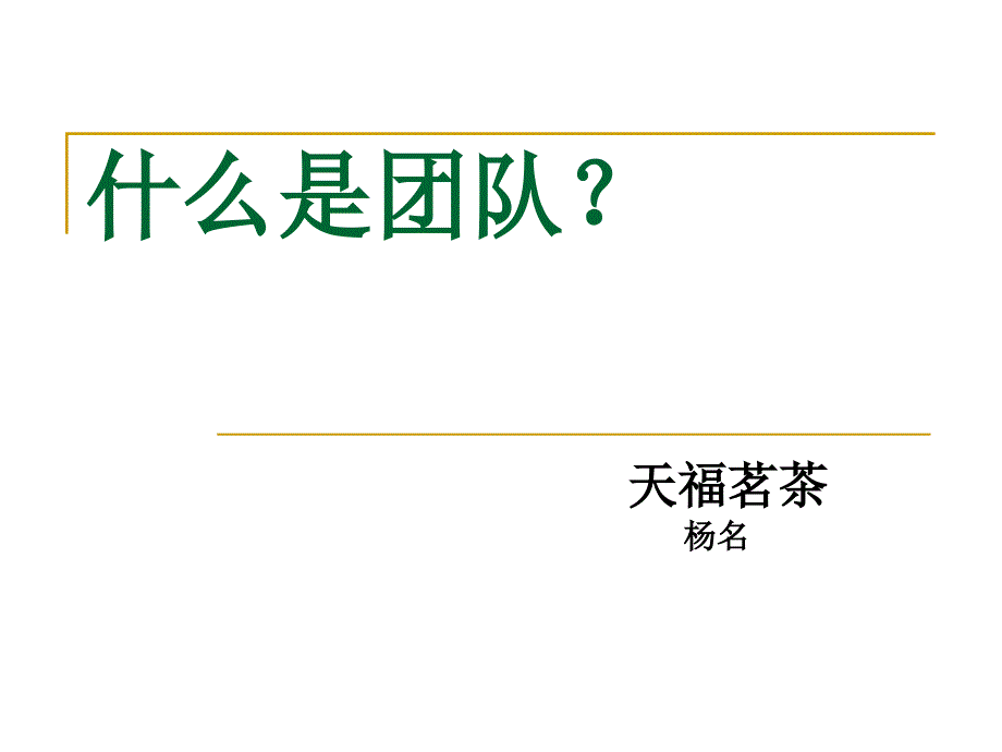 什么是团队？_第1页