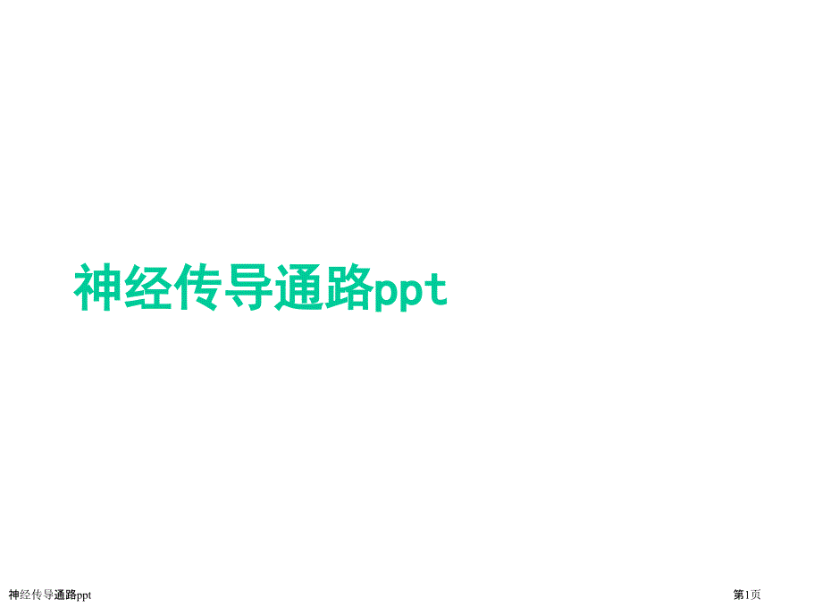 神经传导通路ppt_第1页