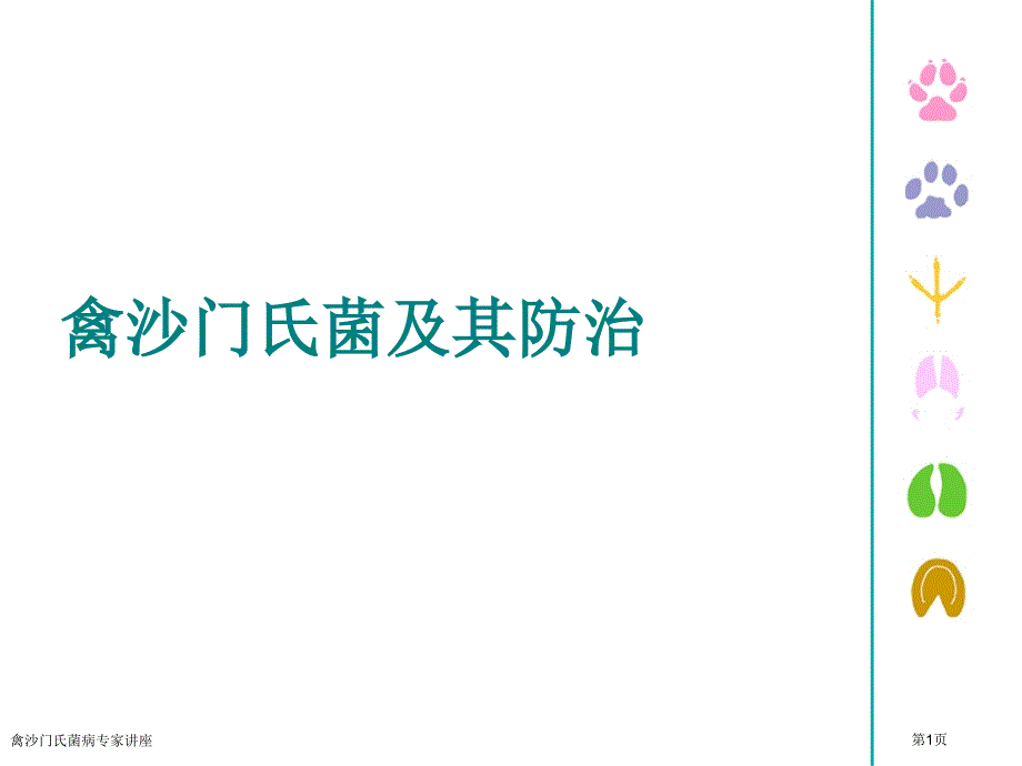 禽沙门氏菌病专家讲座_第1页