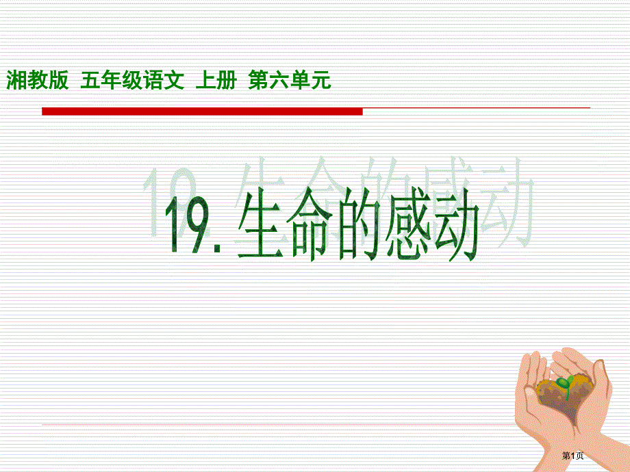 五年级上册生命的感动湘教版市公开课金奖市赛课一等奖课件_第1页