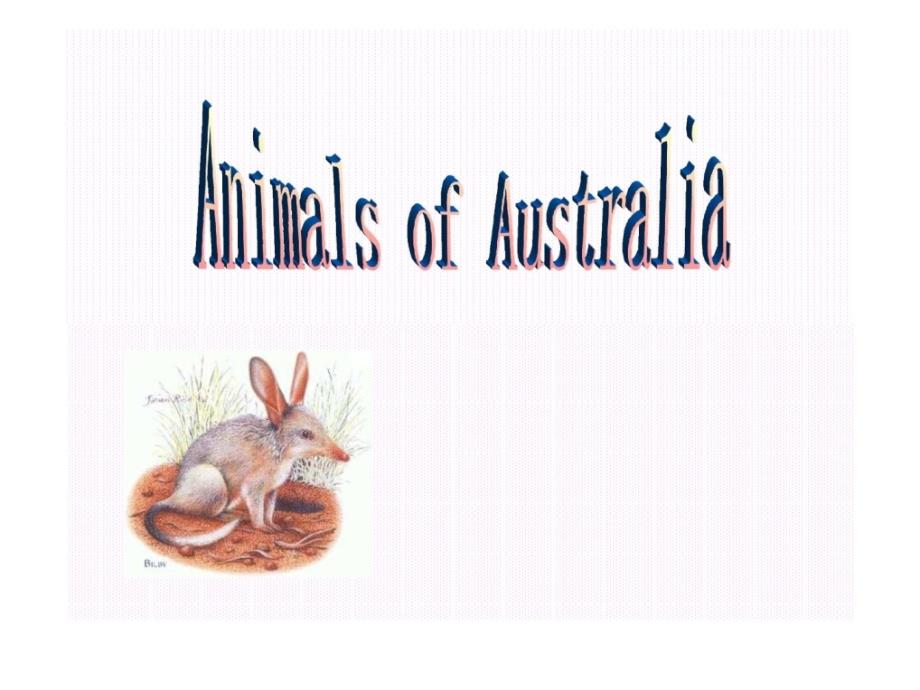 澳大利亚植物介绍 australia animals(英文)整理版_第1页