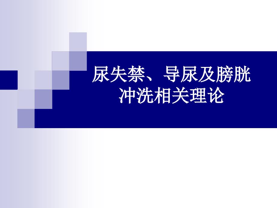 尿失禁、导尿及膀胱冲洗相关理论_第1页