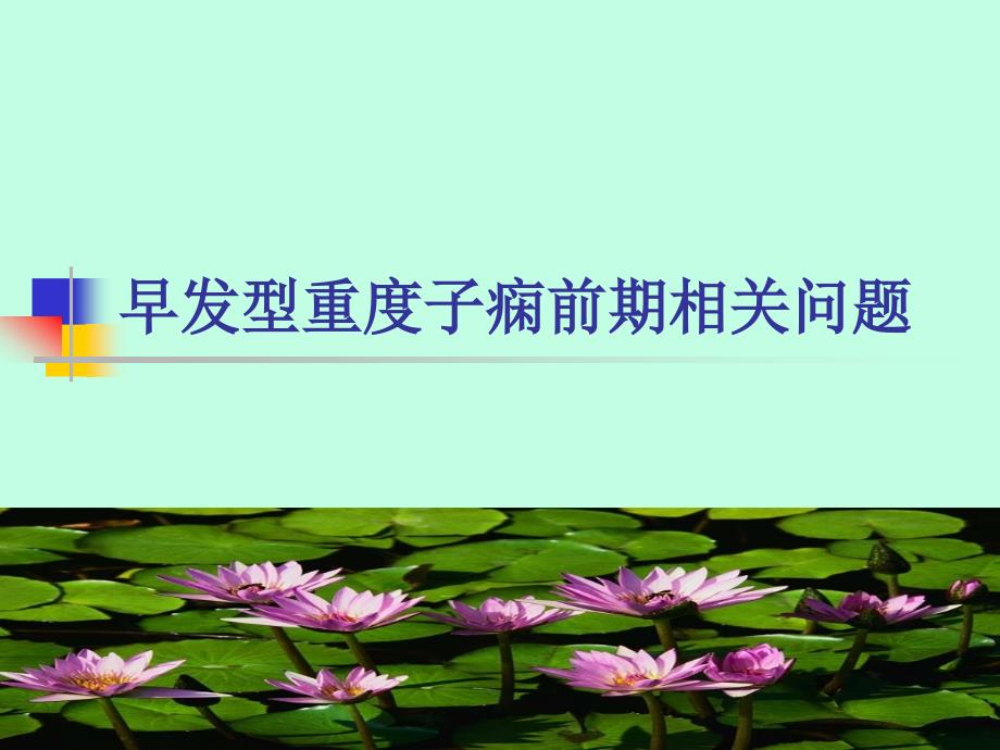 早发型重度子痫前期.ppt_第1页