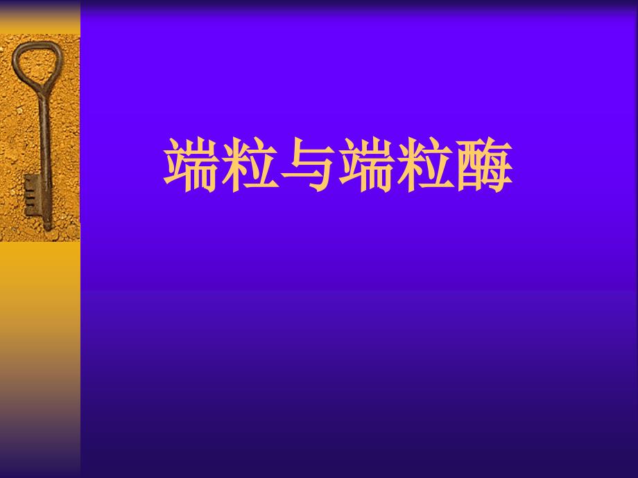 第4章基因重组端粒与端粒酶ppt课件名师编辑PPT课件_第1页