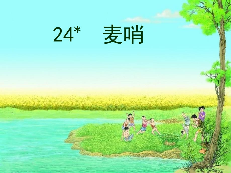 24.麦哨2819246_第1页