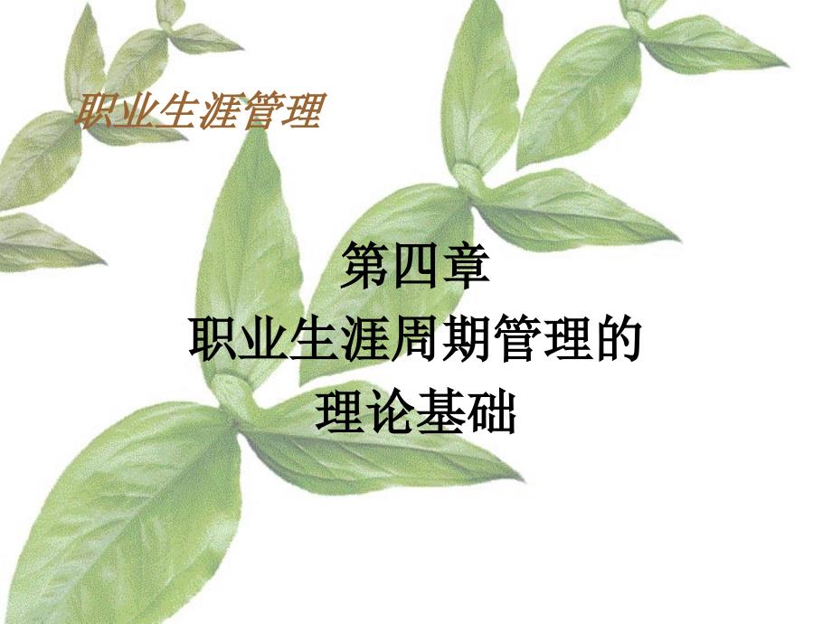 第4章职业生涯周期管理的理论基础_第1页