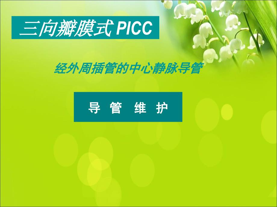 PICC导管维护经外周插管的中心静脉导管_第1页